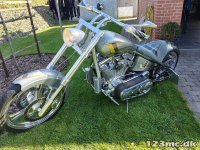 Harley-Davidson Custom Bike