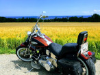 1951 Harley-Davidson FLH Shovelhead