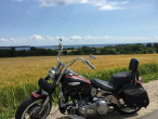 1951 Harley-Davidson FLH Shovelhead