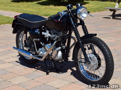 Triumph Tiger