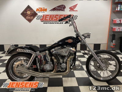 Harley-Davidson Custom Bike