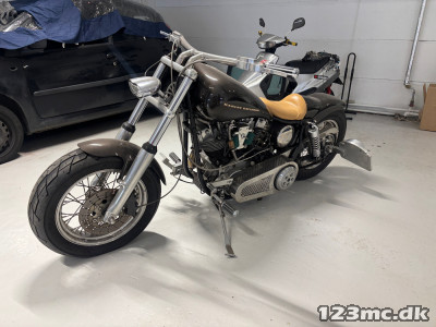 Harley-Davidson Custom Bike Electra glide