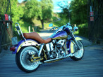 1973 Harley-Davidson Custom Bike