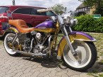 1973 Harley-Davidson Custom Bike
