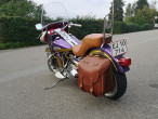1973 Harley-Davidson Custom Bike