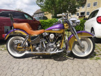 1973 Harley-Davidson Custom Bike