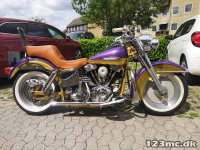 Harley-Davidson Custom Bike Street/Tour
