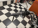 1983 Honda VT 500 C 1983 Honda VT 500 C