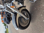 1984 Harley-Davidson FXST Softail Standard