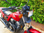 1984 Honda VT 500