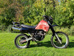 1984 Kawasaki KLR 600