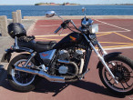 1986 Honda VT 500 C 1986 Honda VT 500 C