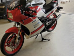 1987 Yamaha RD 350 1987 Yamaha RD 350