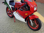 1988 Ducati 750 F1