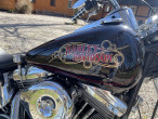1988 Harley-Davidson FXST Softail Standard
