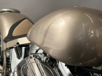 1988 Harley-Davidson FXSTC Softail Custom