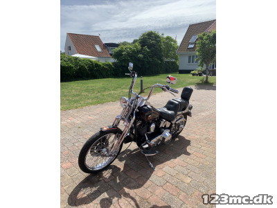 Harley-Davidson FXSTS Springer Softail