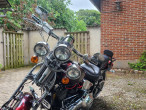 1989 Harley-Davidson FXSTS Springer Softail