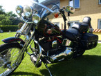 1989 Harley-Davidson FXSTS Springer Softail 1989 Harley-Davidson FXSTS Springer Softail
