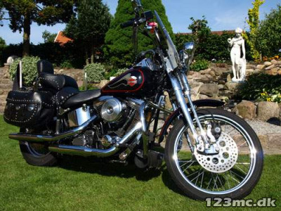 Harley-Davidson FXSTS Springer Softail