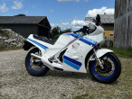 1990 Suzuki RG 250 Gamma 1990 Suzuki RG 250 Gamma
