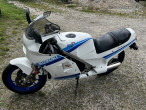 1990 Suzuki RG 250 Gamma 1990 Suzuki RG 250 Gamma
