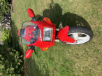 1991 Ducati 750 Super Sport 1991 Ducati 750 Super Sport