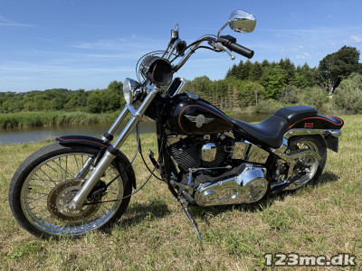 Harley-Davidson FXSTC Softail Custom