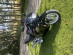 1991 Honda CBR 600 F 1991 Honda CBR 600 F
