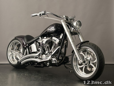 Harley-Davidson FLSTC Heritage Softail Classic