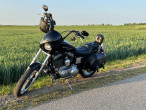 1994 Harley-Davidson XL1200 Sportster