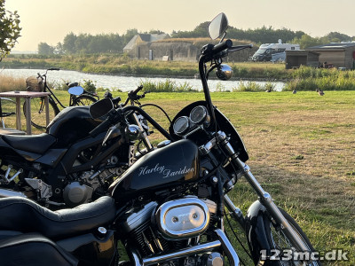 Harley-Davidson XL1200 Sportster