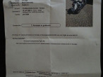 1994 Honda VT 1100 1994 Honda VT 1100