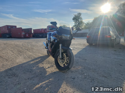 Suzuki GSX 600 F