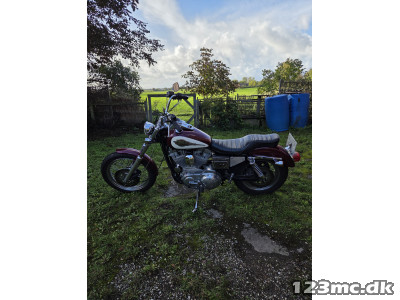 Harley-Davidson XLH883 Sportster