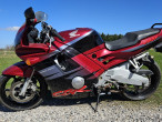 1995 Honda CBR 600 F