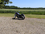 1995 Suzuki VS 600 Intruder