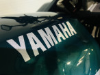1995 Yamaha XJ 900 S Diversion