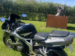 1996 Honda CBR 900 RR