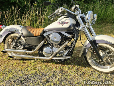 Kawasaki VN 1500 Classic