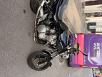 1996 Suzuki GSF 600 Bandit 1996 Suzuki GSF 600 Bandit