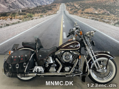 Harley-Davidson FLSTS Heritage Springer