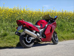 1998 Honda CBR 1100 XX