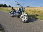 1998 Honda F6 Valkyrie 1998 Honda F6 Valkyrie