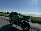1998 Kawasaki ZX9R