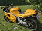 1998 Triumph Daytona 595 1998 Triumph Daytona 595