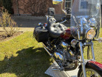 1998 Yamaha XV 1100 1998 Yamaha XV 1100
