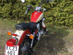 1998 Yamaha XV 250 Virago