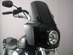 1999 Harley-Davidson FXDL Dyna Low Rider