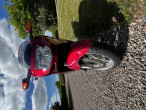 1999 Honda CBR 1100 XX 1999 Honda CBR 1100 XX